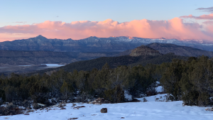 AF1QipN1WZ1p5vejcvcVEn2M4pSGPWdPyHkU2MBPJvQ1w800-h500-k-nopng