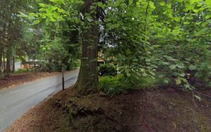 thumbnail-280jpg