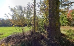 thumbnail-358jpg