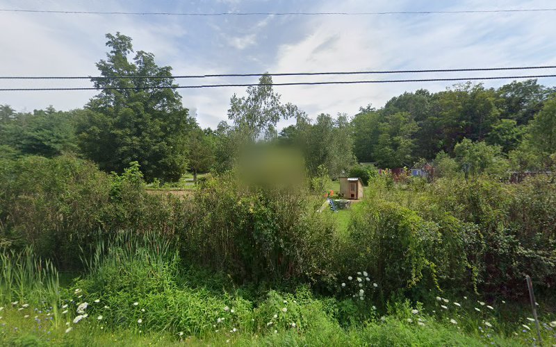 thumbnail-475jpg